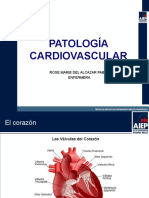 Clase 003 - Patologia Cardiovascular