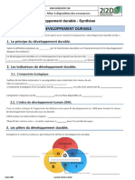 Synthèse Développement Durable