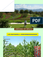 Jardines de México: Nutrición y fertilización de cultivos