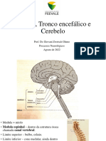 PRNR Medula, Tronco Encefálico e Cerebelo
