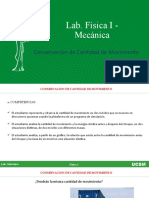 Conservacion Del Momentum Lineal