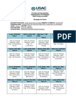 Bosquejo de Temas Práctica 2022-1 para Aula Virtual