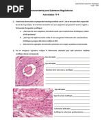 TP 4° Actividad Complementaria
