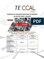 Informe de Diagnóstico de Linea Base