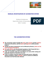 Investigation of Locomotor System 2019