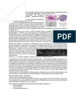 CLASE 2 PCR y Anticuerpos