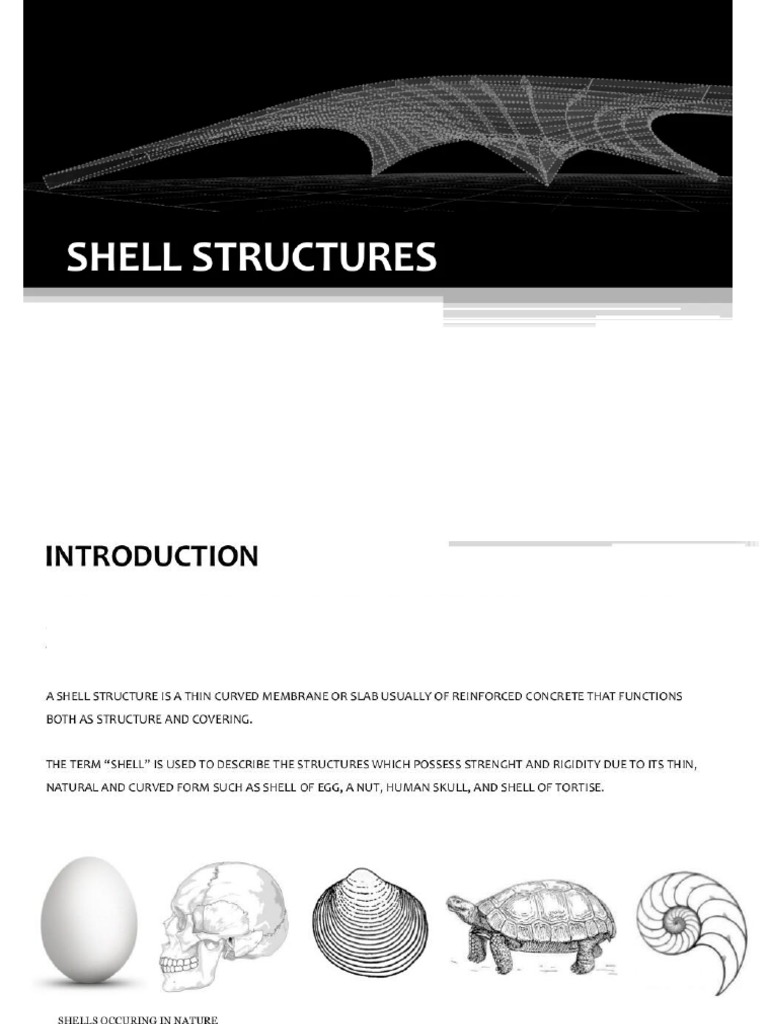 Shell Structures | PDF