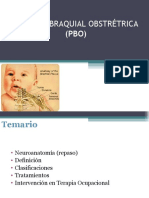 PARALISIS_BRAQUIAL_OBSTRE_TRICA__PBO_