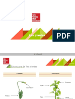 Biología 1º ESO Tema 7