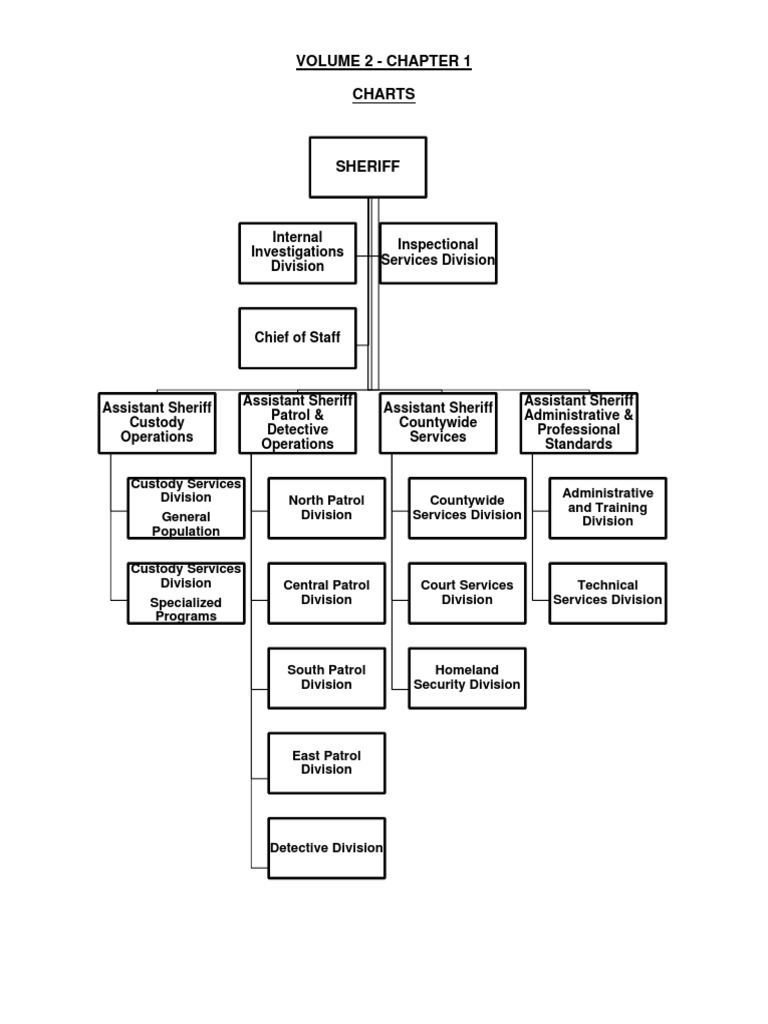 Organización Lasd | PDF