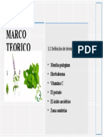 Trabajo Grupo 4 - Marco Terorico