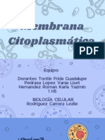 Membrana Citoplasmatica (Diapositivas)