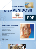 Anatomia Clase 1 Intoduccion