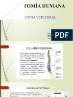 Clase Columna Vertebral1