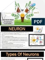 About Neuron, Glia Cells & Neurotransmitter