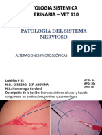 Prctica Pat Sistema Nervioso Vet 110