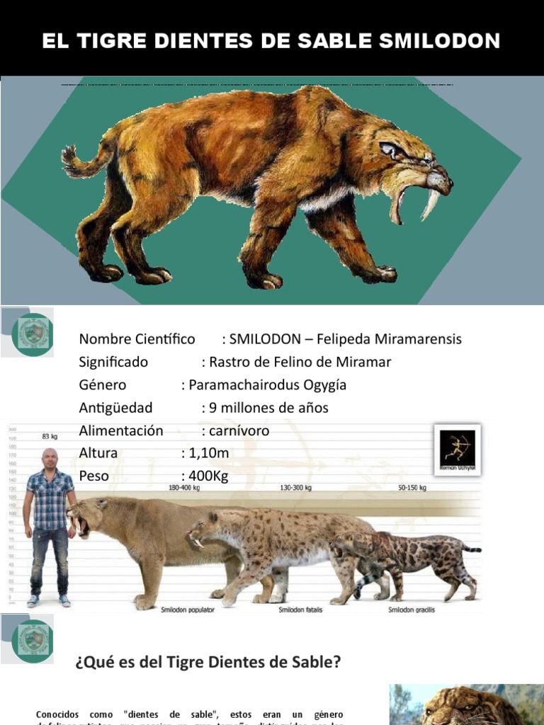 Tigre Dientes de Sable | PDF | Ciencias sociales | Hogar, jardinería y