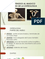 CLASES DE ANATOMIA Osteologia