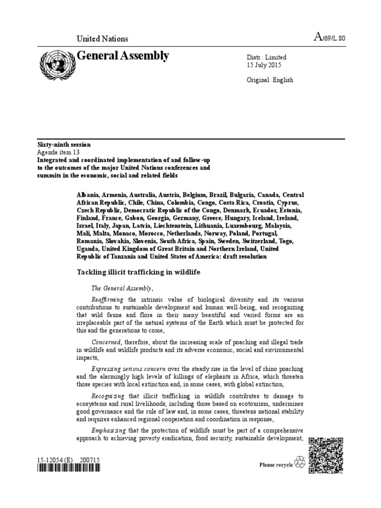 General Assembly: United Nations | PDF