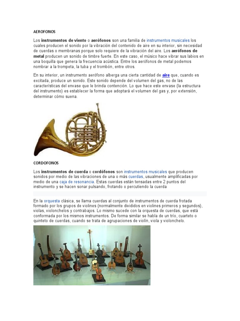 AEROFONOS PDF Instrumentos musicales Instrumentos de cuerda