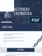 Actividad Enzimatica