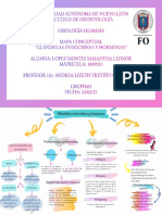 Glándulas Endocrinas y Hormonas