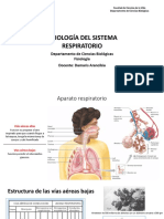 Fisiología respiratoria alvéolos