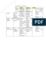 Actividad 3. Cuadro Comparativo Estados de Agregacion.