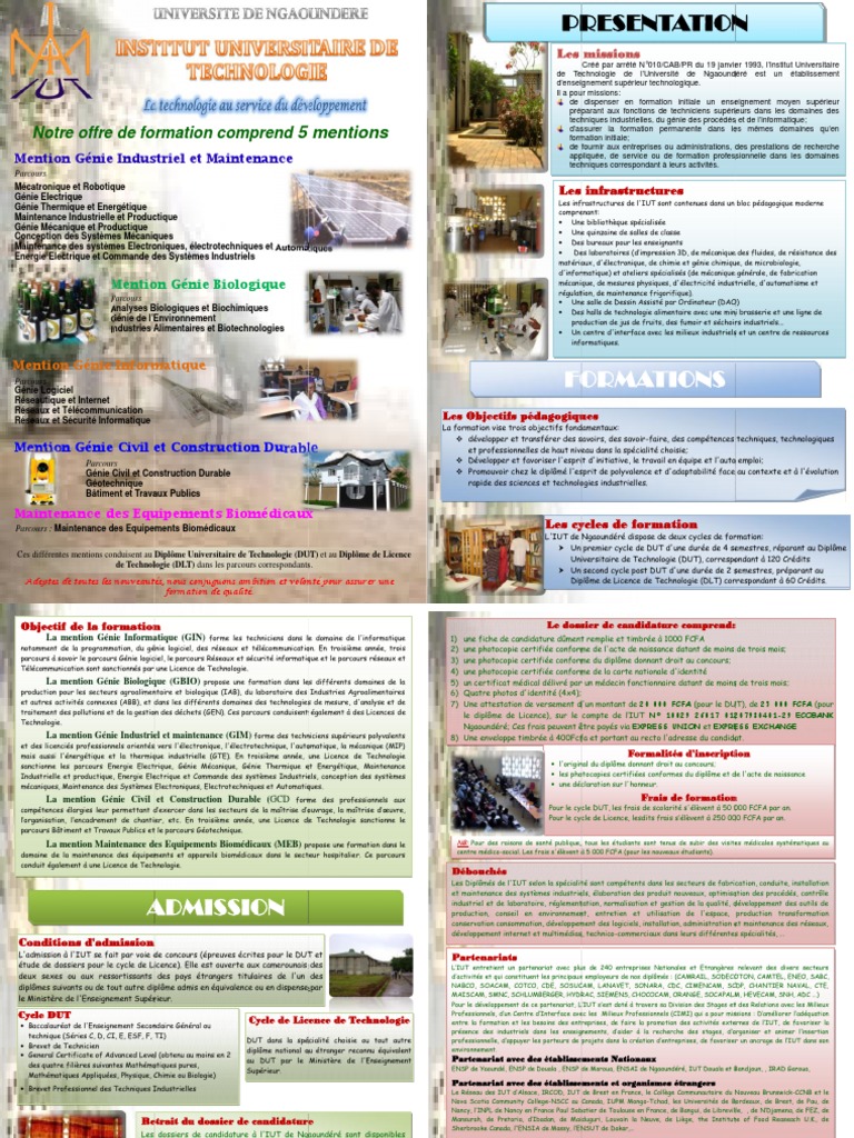 Formations à l'IUT de Ngaoundéré | PDF | Électronique | Informatique