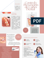 Dipticp de Control y Prevención de Caries Dentales