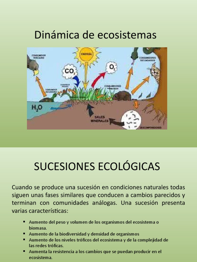 Dinámica de Ecosistemas | PDF | Ciencia y matemáticas