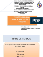 Tejidos biológicos: clasificación, estructura y función