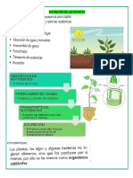 Nutrición de Las Plantas