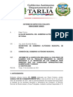 Informe de Inspección Conjunta