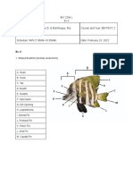 Ex-3-Lab-Output-BIO-2206L-Chiong-Marifosque