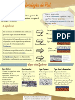 Resumen Embriologia de Piel