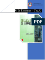 Organización de Empresas Cap.5