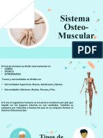 Sistema Osteo-Muscular