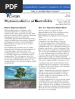 Phytoremediation at Brownfields: Environmental Science and Technology Briefs For Citizens