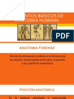 4. Anatomia Forense