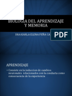 Biologia Del Aprendizaje Y Memoria: Dra Karla Elena Peña Castro