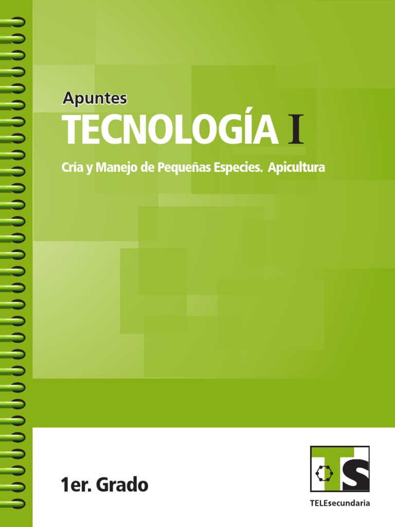 Ts Apun Tec 1 Cria - 1 | PDF | Planificación