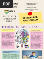 Teoria Del Aprendizaje Infografia de La Cruz Acero Britney - Udh