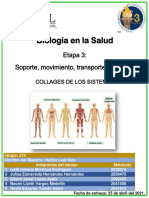 Equipo Etapa3 BioSal