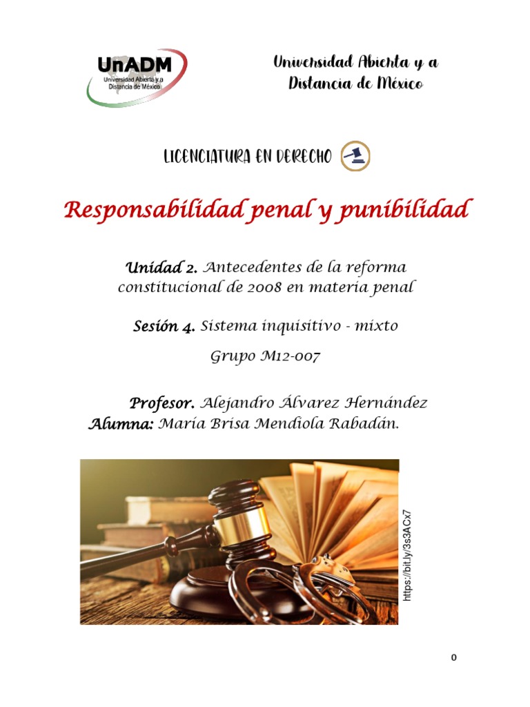 Responsabilidad Penal y Punibilidad | PDF | Procedimiento Criminal ...