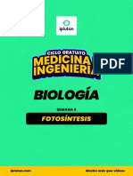 1636063821ipluton Biología Fotosintesis