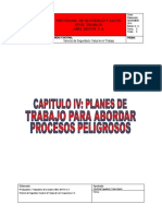 CAPITULO IV Planes de Trabajo para Abordar Procesos PELIGROSOS Abel