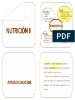 Nutrición II - EXCRETOR - v2