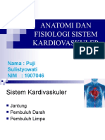 Anatomi Dan Fisiologi Sistem Kardiovaskuler