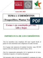 Tema 1 - Cormofitos 21-22